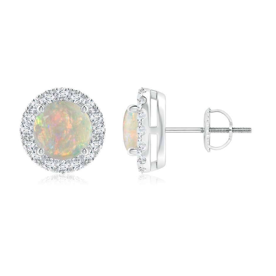 6mm AAAA Claw-Set Opal and Diamond Halo Stud Earrings in P950 Platinum 