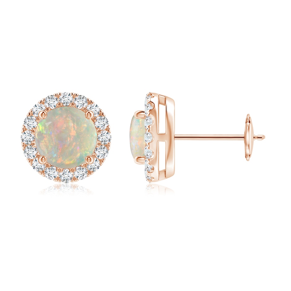 6mm AAAA Claw-Set Opal and Diamond Halo Stud Earrings in Rose Gold 