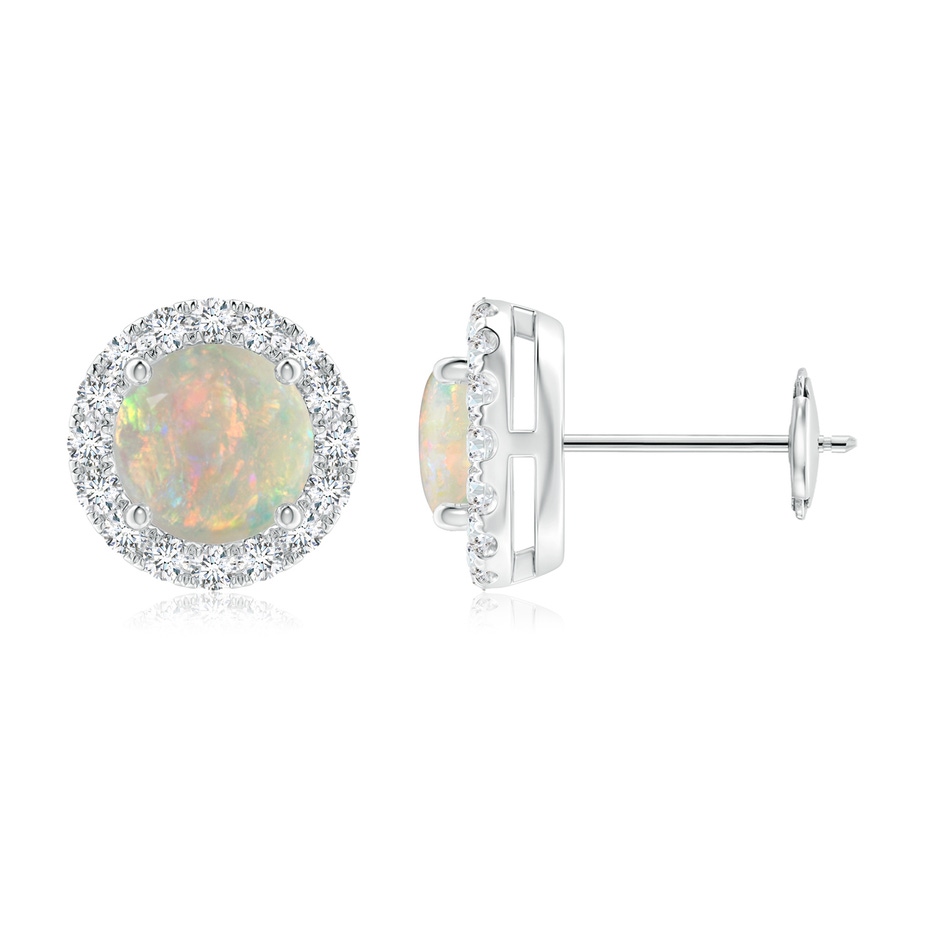 6mm AAAA Claw-Set Opal and Diamond Halo Stud Earrings in White Gold 