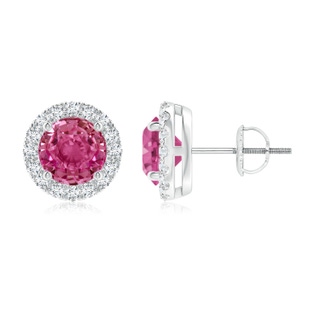 6mm AAAA Claw-Set Pink Sapphire and Diamond Halo Stud Earrings in P950 Platinum