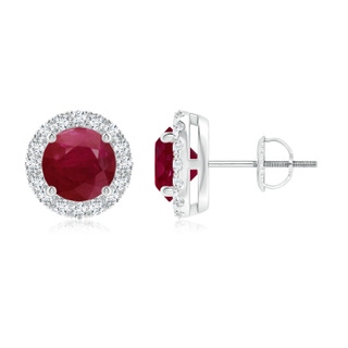 6mm A Claw-Set Ruby and Diamond Halo Stud Earrings in P950 Platinum