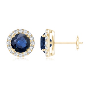 Round AA Blue Sapphire