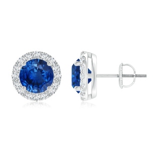 6mm AAA Prong-Set Sapphire and Diamond Halo Stud Earrings in P950 Platinum