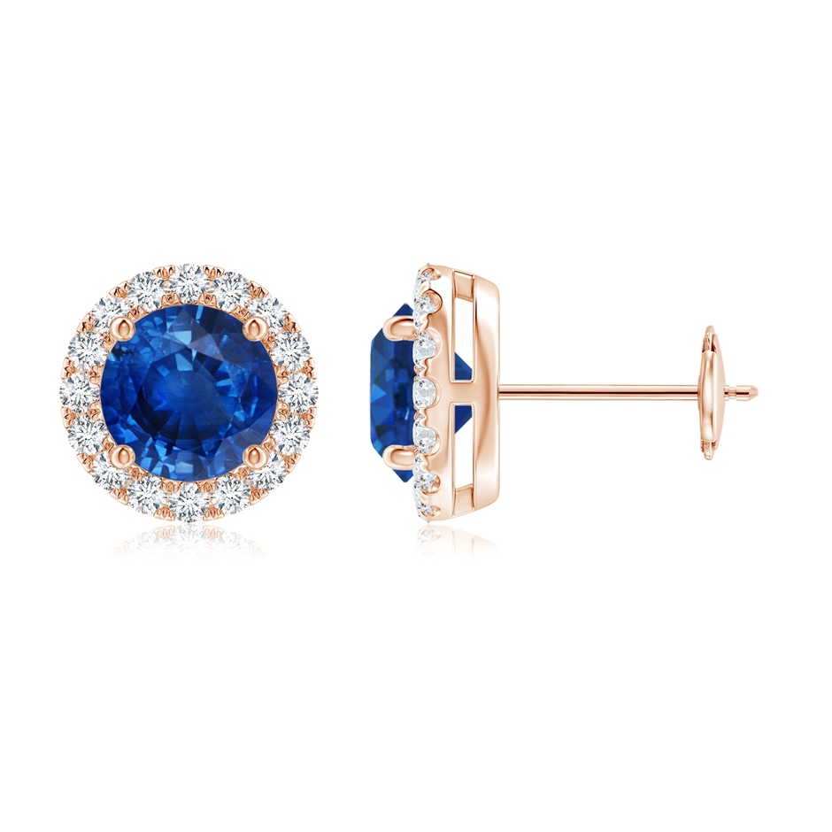6mm AAA Prong-Set Sapphire and Diamond Halo Stud Earrings in Rose Gold 