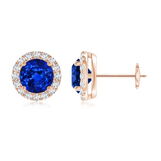 6mm AAAA Prong-Set Sapphire and Diamond Halo Stud Earrings in Rose Gold