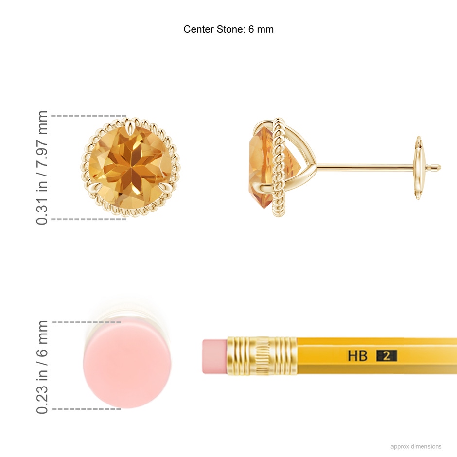 6mm A Rope Framed Claw-Set Citrine Martini Stud Earrings in Yellow Gold ruler