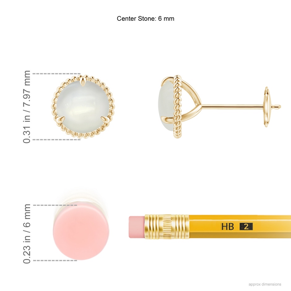 6mm AAAA Rope Framed Claw-Set Moonstone Martini Stud Earrings in Yellow Gold ruler