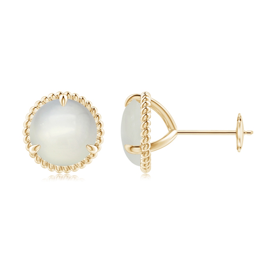 8mm AAA Rope Framed Claw-Set Moonstone Martini Stud Earrings in Yellow Gold 
