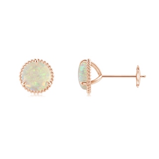 6mm AAA Rope Framed Claw-Set Opal Martini Stud Earrings in Rose Gold