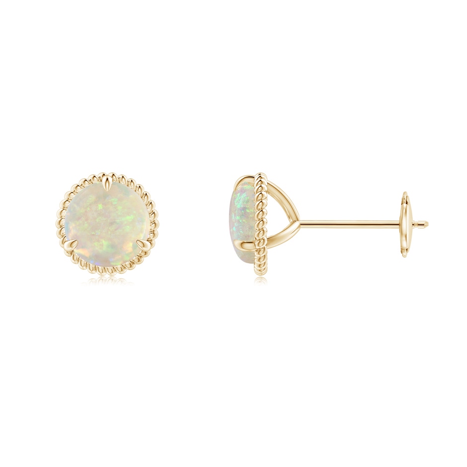 6mm AAA Rope Framed Claw-Set Opal Martini Stud Earrings in Yellow Gold 