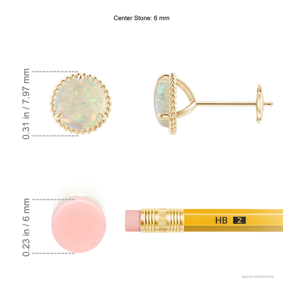 6mm AAA Rope Framed Claw-Set Opal Martini Stud Earrings in Yellow Gold ruler