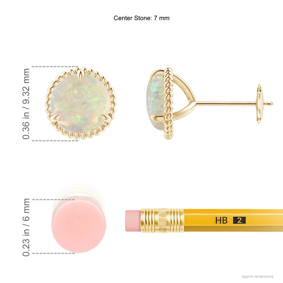 7mm AAA Rope Framed Claw-Set Opal Martini Stud Earrings in Yellow Gold ruler