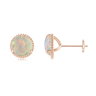 7mm AAAA Rope Framed Claw-Set Opal Martini Stud Earrings in Rose Gold