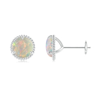 7mm AAAA Rope Framed Claw-Set Opal Martini Stud Earrings in White Gold