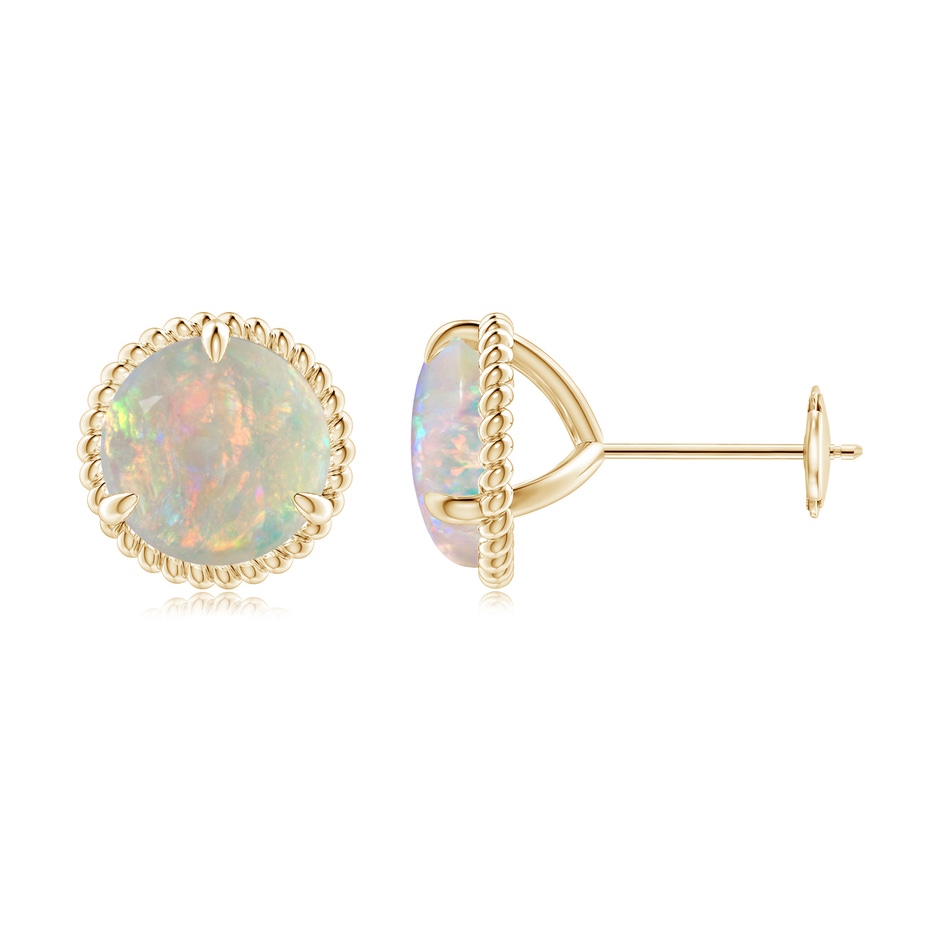 8mm AAAA Rope Framed Claw-Set Opal Martini Stud Earrings in Yellow Gold 