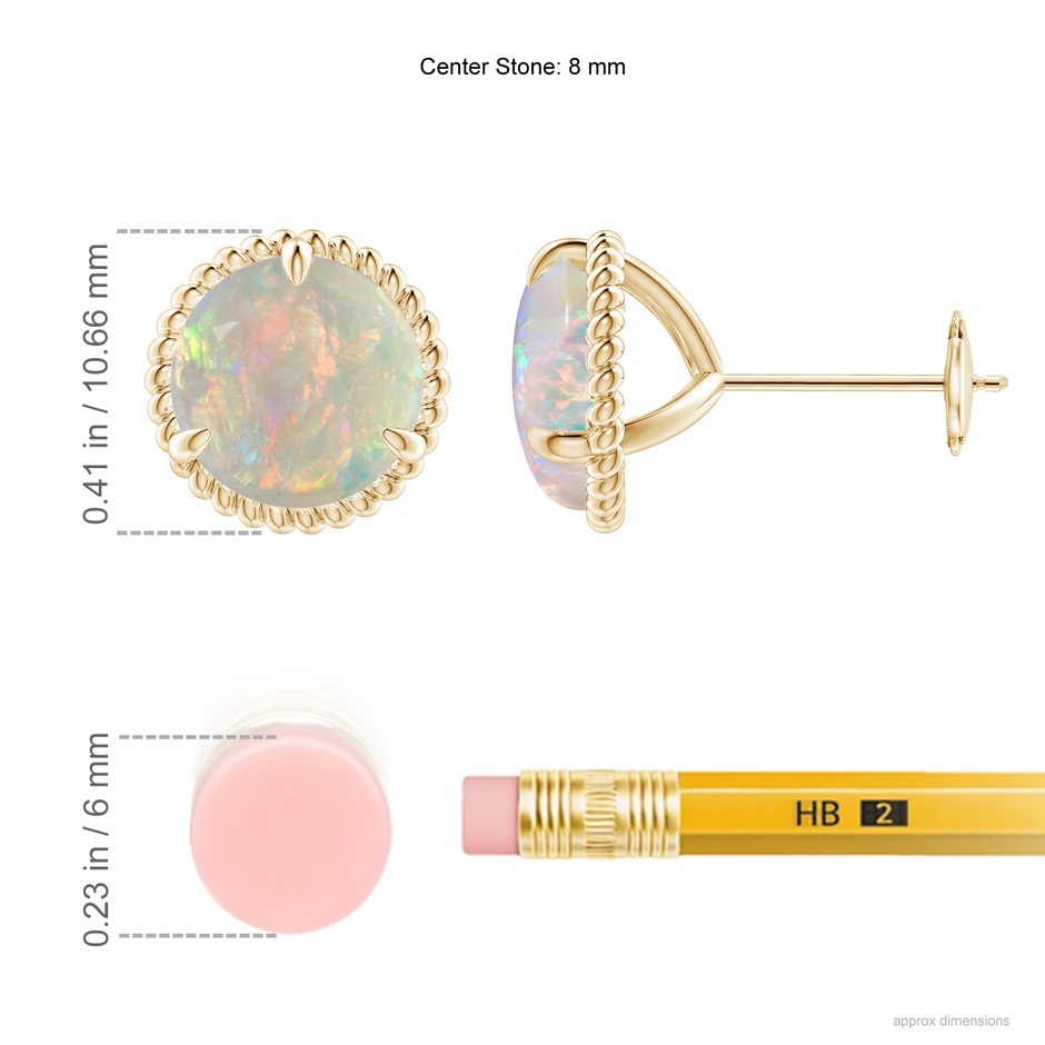 8mm AAAA Rope Framed Claw-Set Opal Martini Stud Earrings in Yellow Gold ruler