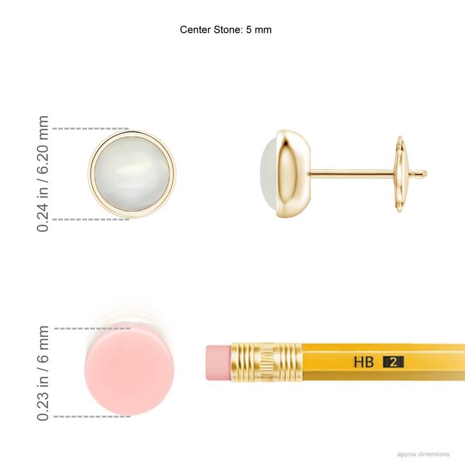 5mm AAAA Bezel Set Moonstone Solitaire Stud Earrings in Yellow Gold ruler