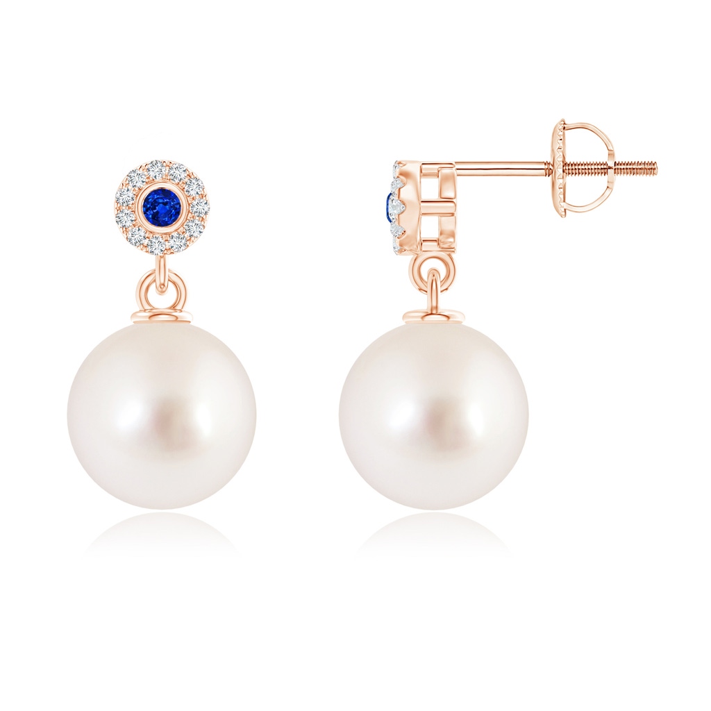 10mm AAAA South Sea Pearl and Sapphire Halo Drop Earrings in Rose Gold