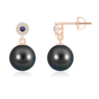 10mm AA Tahitian Pearl and Sapphire Halo Drop Earrings in Rose Gold