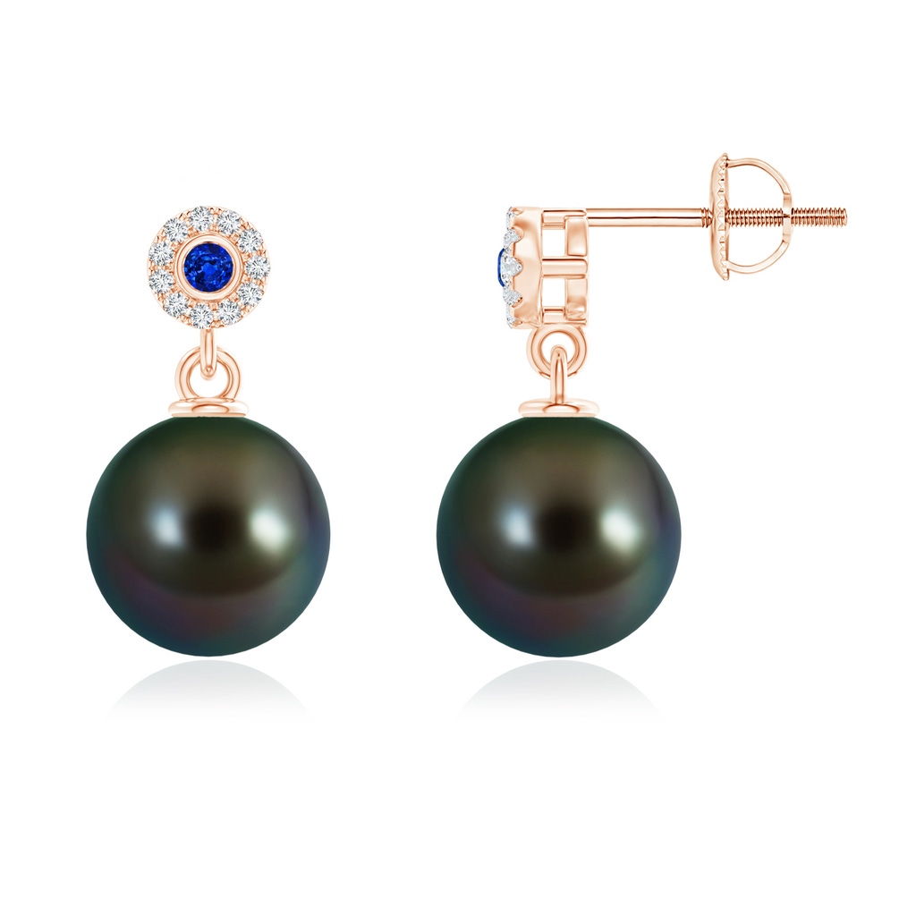 10mm AAAA Tahitian Pearl and Sapphire Halo Drop Earrings in Rose Gold