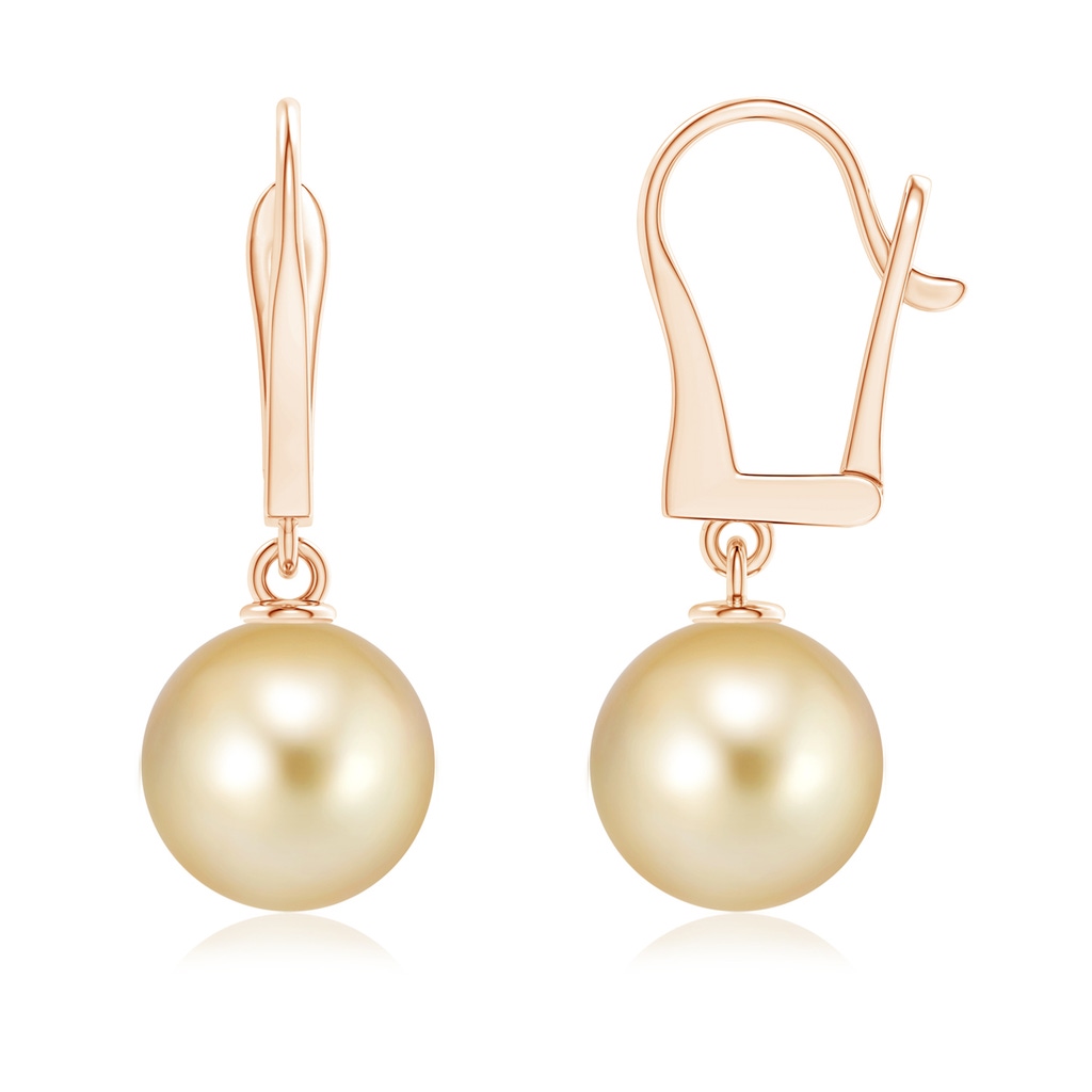 10mm AAAA Solitaire Golden South Sea Cultured Pearl Leverback Earrings in Rose Gold