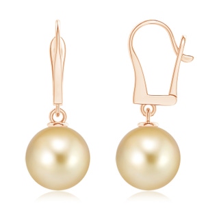 11mm AAAA Solitaire Golden South Sea Cultured Pearl Leverback Earrings in Rose Gold