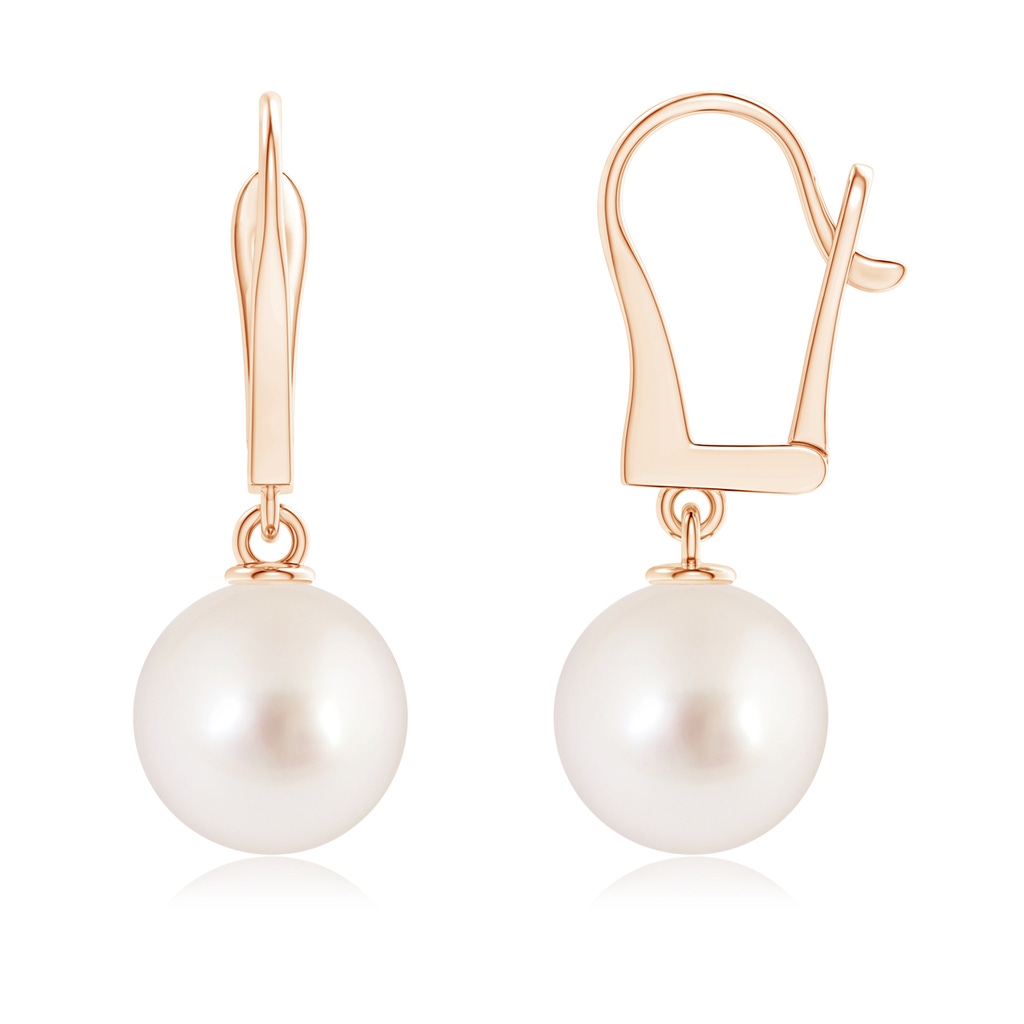 10mm AAAA Solitaire South Sea Pearl Leverback Dangle Earrings in Rose Gold