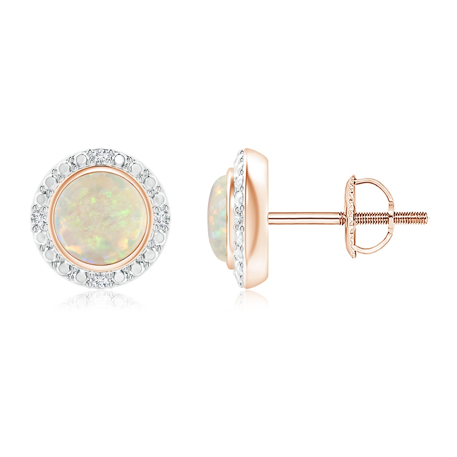 5mm AAA Bezel-Set Round Opal Earrings with Beaded Halo in Rose Gold 