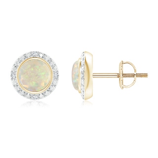 5mm AAA Bezel-Set Round Opal Earrings with Beaded Halo in Yellow Gold