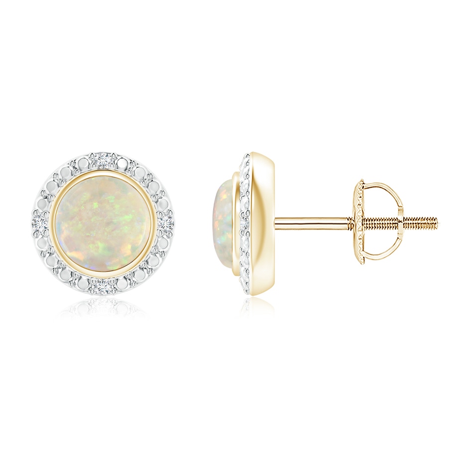 5mm AAA Bezel-Set Round Opal Earrings with Beaded Halo in Yellow Gold 