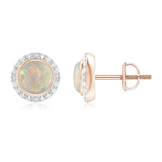 5mm AAAA Bezel-Set Round Opal Earrings with Beaded Halo in Rose Gold