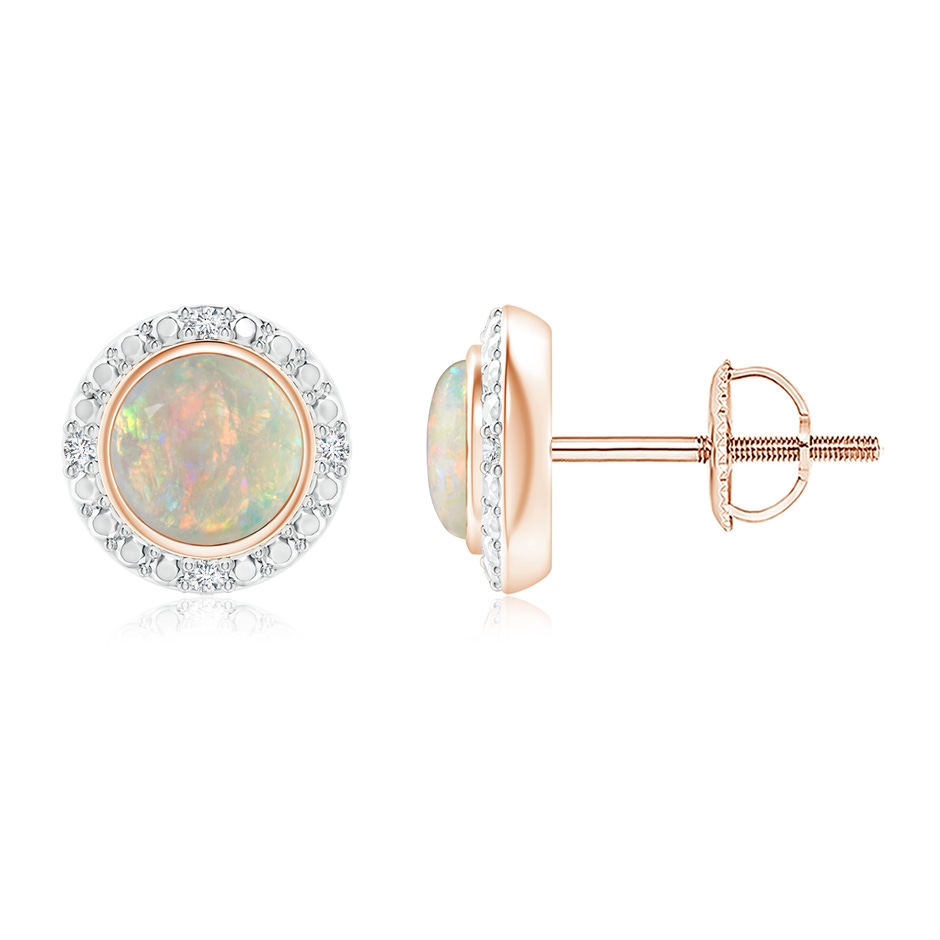 5mm AAAA Bezel-Set Round Opal Earrings with Beaded Halo in Rose Gold 