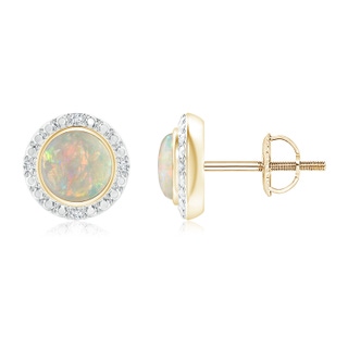 5mm AAAA Bezel-Set Round Opal Earrings with Beaded Halo in Yellow Gold