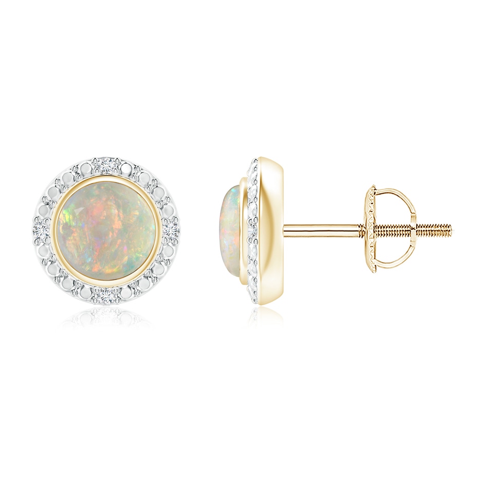 5mm AAAA Bezel-Set Round Opal Earrings with Beaded Halo in Yellow Gold 
