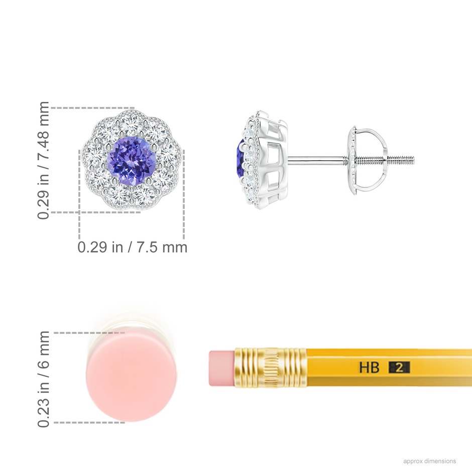 3.5mm AAA Vintage Style Round Tanzanite Halo Stud Earrings in White Gold ruler