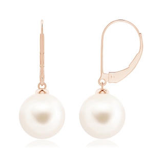 10mm AAA Freshwater Pearl Earrings with Leverback in Rose Gold