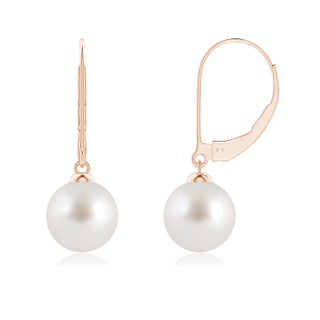 8mm AAA South Sea Pearl Earrings with Leverback in 10K Rose Gold