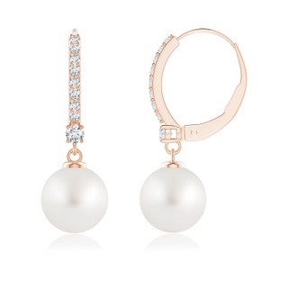 8mm AA Leverback South Sea Pearl Drop Earrings in 9K Rose Gold