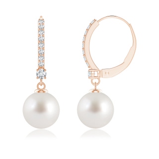 8mm AAA Leverback South Sea Pearl Drop Earrings in 9K Rose Gold