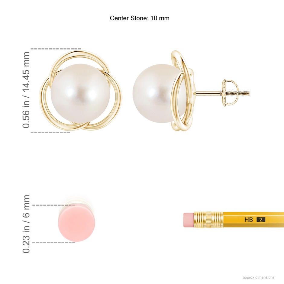 10mm AAAA Freshwater Pearl Love Knot Studs in Yellow Gold ruler