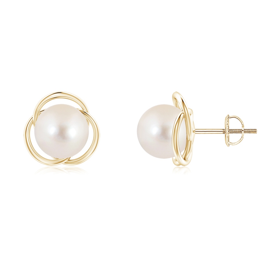 8mm AAAA Freshwater Pearl Love Knot Studs in Yellow Gold 