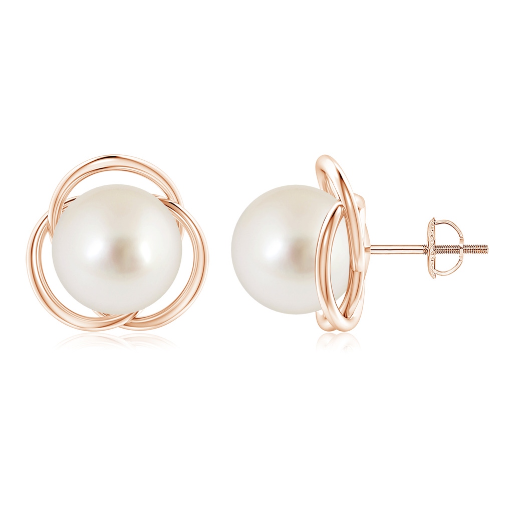 10mm AAAA South Sea Pearl Love Knot Studs in Rose Gold