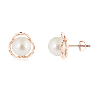 8mm AAAA South Sea Pearl Love Knot Studs in Rose Gold