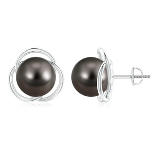 10mm AAA Tahitian Pearl Love Knot Studs in White Gold