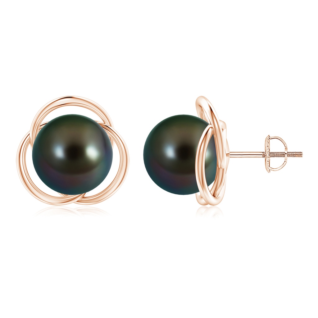 10mm AAAA Tahitian Pearl Love Knot Studs in Rose Gold