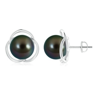 10mm AAAA Tahitian Pearl Love Knot Studs in White Gold