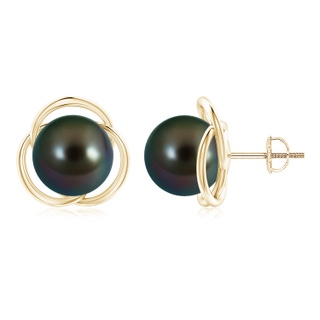 10mm AAAA Tahitian Pearl Love Knot Studs in Yellow Gold