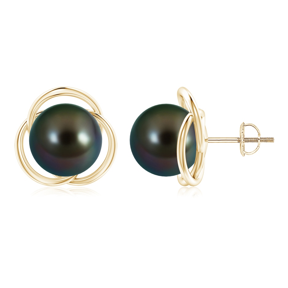 10mm AAAA Tahitian Pearl Love Knot Studs in Yellow Gold 