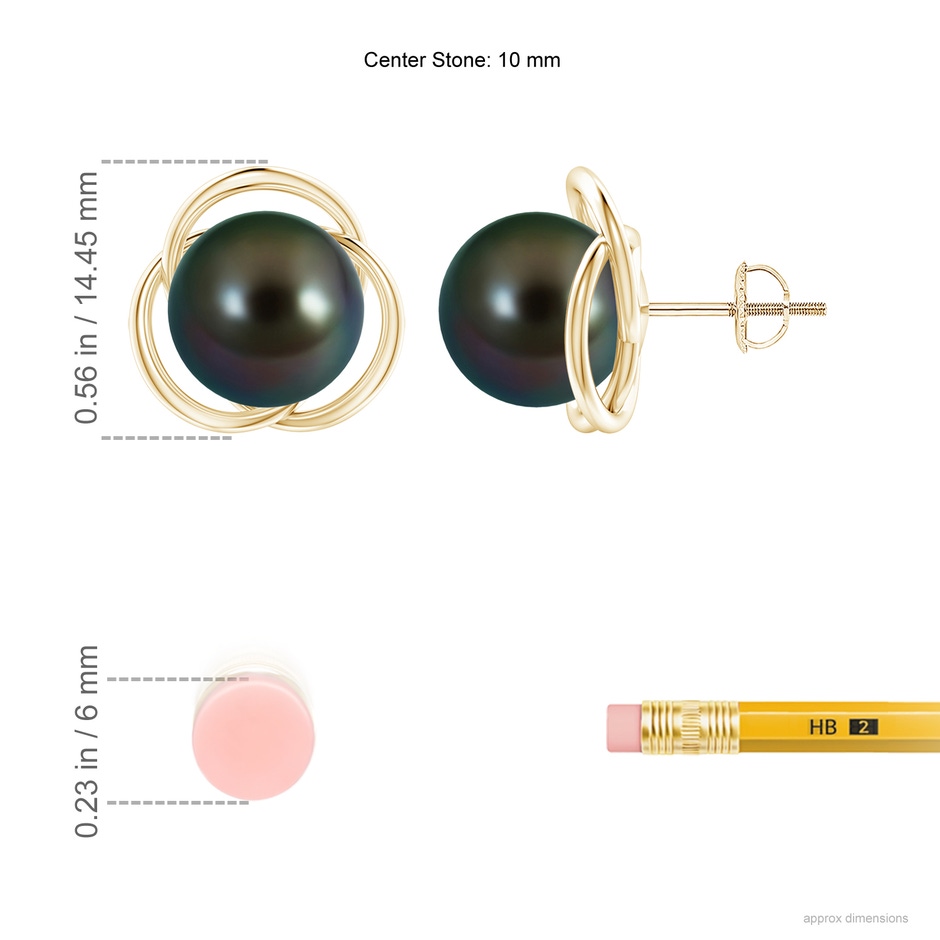 10mm AAAA Tahitian Pearl Love Knot Studs in Yellow Gold ruler