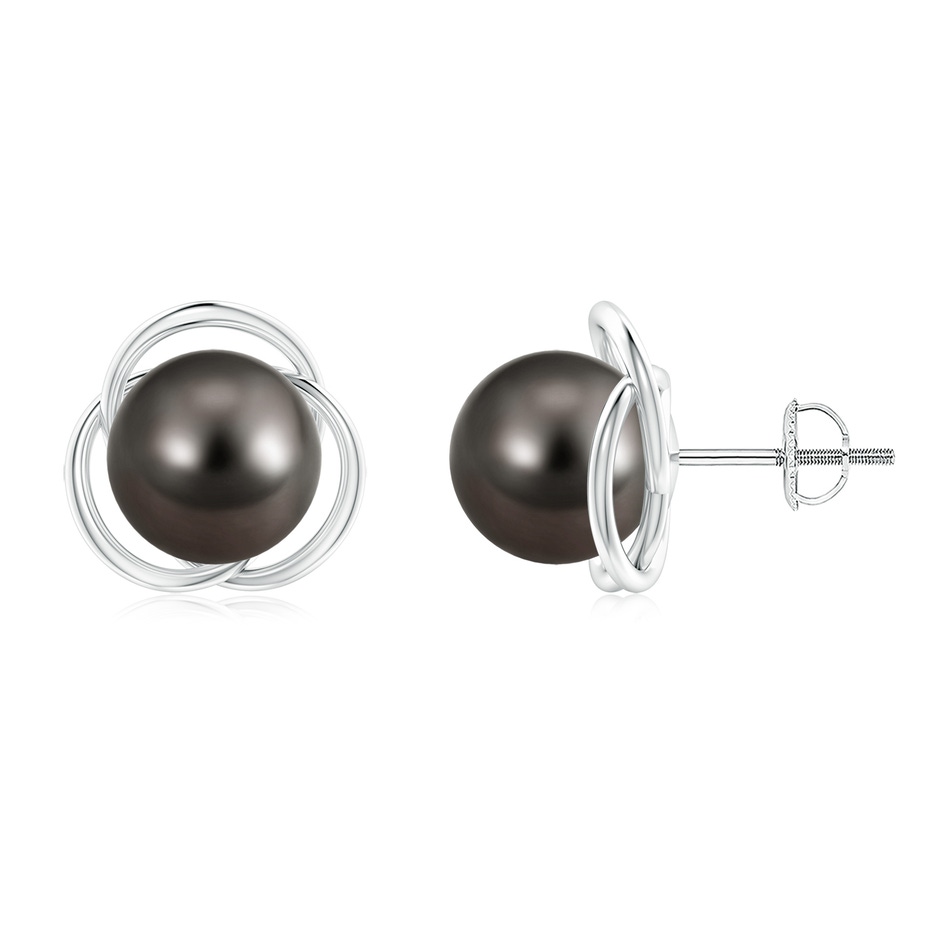 9mm AAA Tahitian Pearl Love Knot Studs in White Gold 